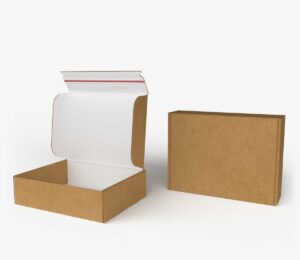 Just F427 returnable, unprinted - brown-white cardboard