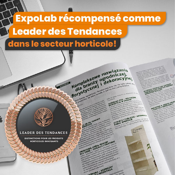 FR_Le-leader-des-tendances