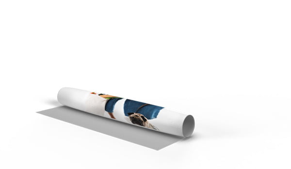 Roll up gráfica para sistemas de exposición